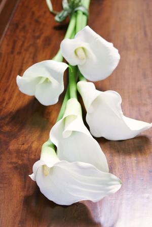 ダイヤモンドシライシの札幌のお店